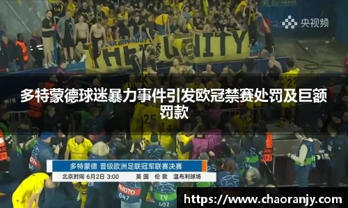 多特蒙德球迷暴力事件引发欧冠禁赛处罚及巨额罚款